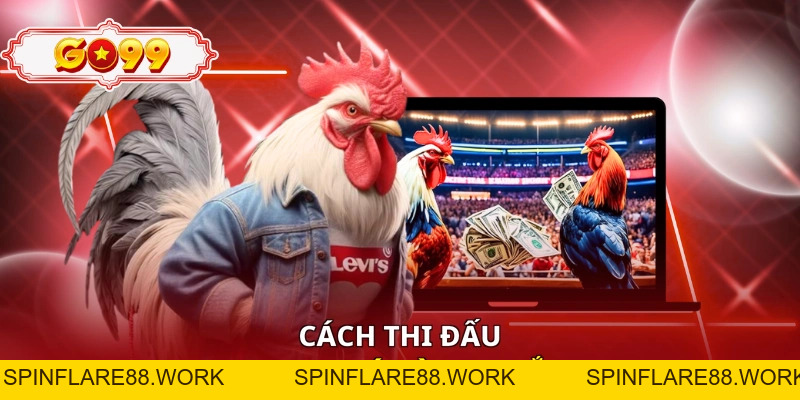 Đá Gà Go99 - Sới Chiến Nảy Lửa, Mãn Nhãn Từng Giây - spinflare88.work