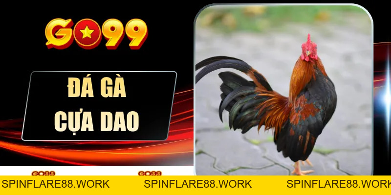 Đá Gà Cựa Dao Tại GO99 - Bùng Nổ Đam Mê Cá Cược 2026 - spinflare88.work