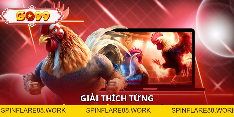 Đá Gà Go99 - Sới Chiến Nảy Lửa, Mãn Nhãn Từng Giây - spinflare88.work