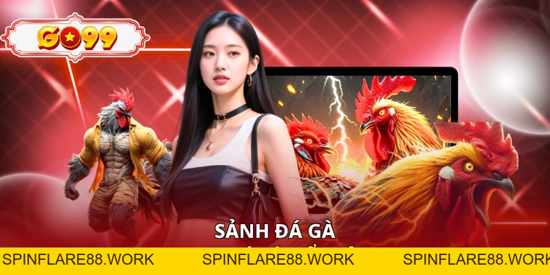 Đá Gà Go99 - Sới Chiến Nảy Lửa, Mãn Nhãn Từng Giây - spinflare88.work