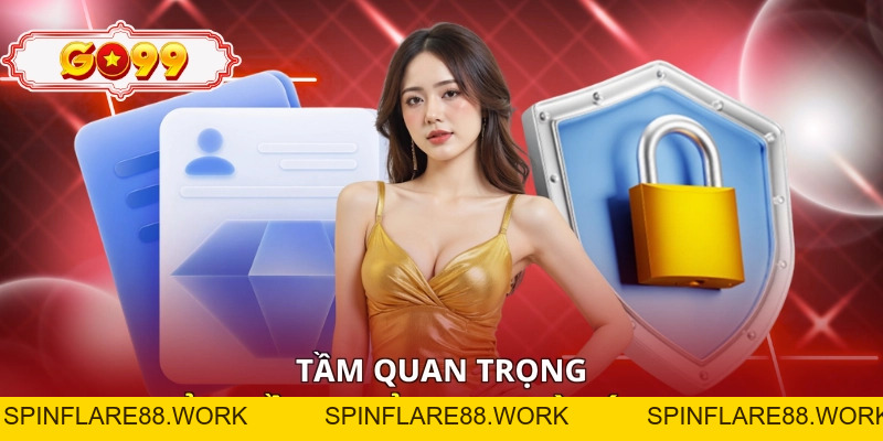 Điều Khoản Điều Kiện - Quy Định Cá Cược An Toàn, Minh Bạch - spinflare88.work