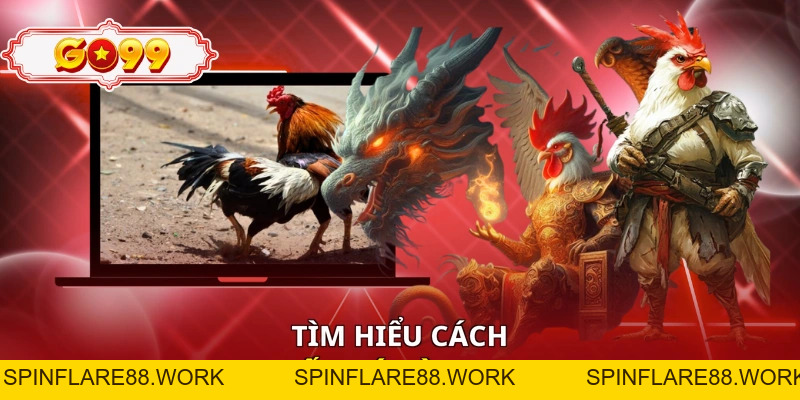 Đá Gà Cựa Dao Tại GO99 - Bùng Nổ Đam Mê Cá Cược 2026 - spinflare88.work
